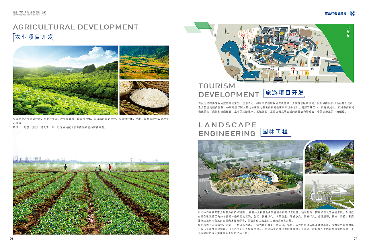 旅游開發(fā)項目策劃咨詢 創(chuàng)新策略與視覺呈現(xiàn)的藝術